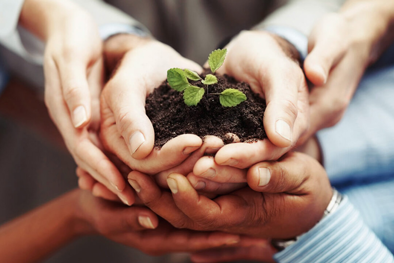 النشأة والتعريف